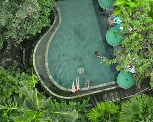 乌布Menzel Ubud的游泳池的顶部景色,水面上的人