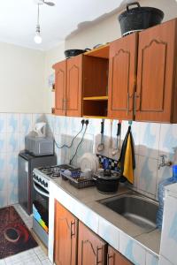 内罗毕Nomads Luxurious Homes的厨房配有木制橱柜、水槽和炉灶。