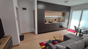 锡比乌Apartment Joerg Sibiu的客厅配有沙发和桌子