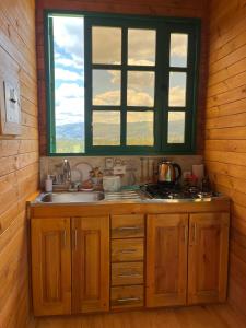 派帕Huitaca Glamping的厨房设有水槽和窗户。