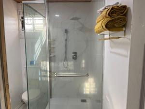 乔治敦Odyssey Suites Loft Apartment的浴室里设有玻璃门淋浴