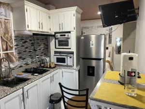乔治敦Odyssey Suites Loft Apartment的厨房配有白色橱柜和不锈钢冰箱