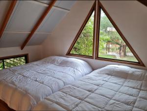 Haasienda - Nido del Colibri - Casa de Arbol的一间卧室设有一张床和一个大窗户