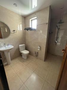 第比利斯villa with beautiful view 3的浴室配有卫生间、盥洗盆和淋浴。