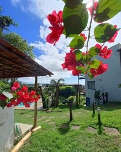 伊塔卡雷Vila Boa Vista Itacaré的院子里有红花的树