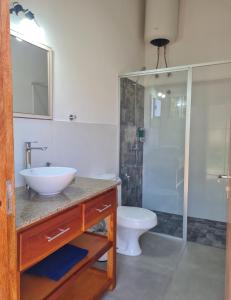 Haasienda - Nido del Colibri - Casa de Arbol的一间带水槽、淋浴和卫生间的浴室