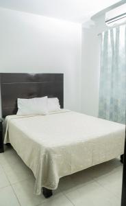 马德罗城Hotel Tampico Express的卧室内的一张带白色床单和枕头的床