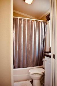 萨拉索塔Pinecraft Blue Heron Tiny Home的一间带卫生间和淋浴帘的浴室