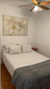 塔科龙特PURA VIDA的一间卧室配有一张床和吊扇