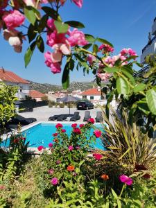 希杰弗朗吉卡Villa Barbara & Zoran with heated swimming pool的享有游泳池的粉红色花卉美景