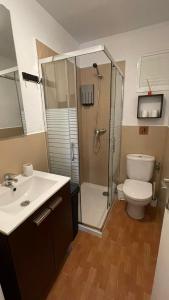 塔科龙特PURA VIDA的带淋浴、卫生间和盥洗盆的浴室