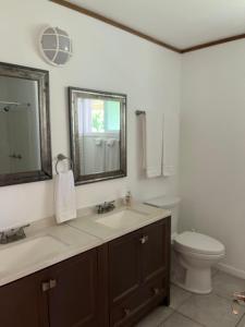 希洛Aaron’s cottage的一间带水槽、卫生间和镜子的浴室
