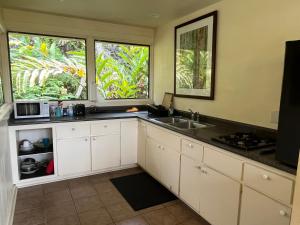 希洛Aaron’s cottage的厨房配有白色橱柜、水槽和2扇窗户。