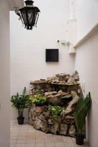 圣克里斯托瓦尔-德拉斯卡萨斯Casa Venus的墙上挂有植物的石墙和一台电视机
