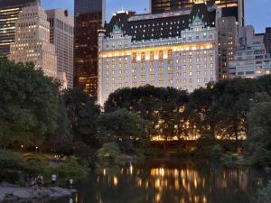 纽约广场酒店的城市池塘的景色,城市有高大的建筑
