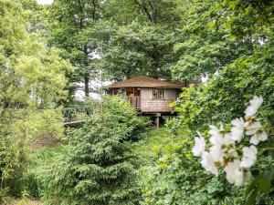 WadhurstBensfield Treehouse的树林中的一个小屋