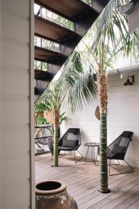 拜伦湾28 Degrees Byron Bay - Adults Only的庭院里种植了两棵棕榈树,配有椅子