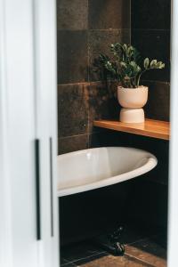 拜伦湾28 Degrees Byron Bay - Adults Only的带浴缸的浴室,在架子上种植植物