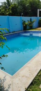 钦奈Le Grace Kovalam的蓝色的游泳池在蓝色的栅栏前