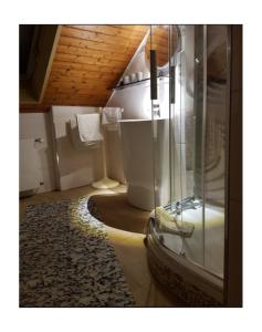 策尔阿姆哈尔梅尔斯巴赫Haus Irmgard的一间带玻璃淋浴和卫生间的浴室