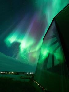 基律纳Aurora River Camp Glass igloos & cabins的飞机上享有北极光的景色