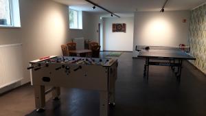 德恩巴赫Villa Franzen的一间带台球桌和乒乓球桌的房间