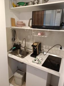 巴里APARTMENT ANDROMEDA的厨房柜台配有微波炉和水槽