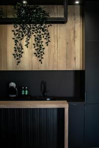 克罗托申Apartamenty Centrum的挂在墙上的植物厨房台