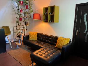 布加勒斯特City Garden Apartments的客厅里一张棕色的皮沙发