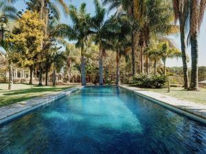 KingsmeadThe Peech Boutique Hotel Zimbabwe的一座棕榈树环绕的游泳池