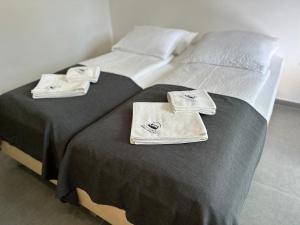 马里博尔Villa Magdalena apartments & rooms的双床间 - 带毛巾