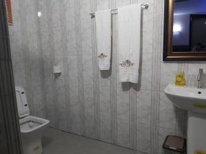 哈科特港Pious Court的浴室配有盥洗盆、卫生间和毛巾。