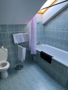 布拉格阿里安酒店的带浴缸和卫生间的浴室。