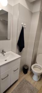 奥托佩尼Maramures Residence - Otopeni Airport and Therme - Self Check-in的一间带卫生间、水槽和镜子的浴室