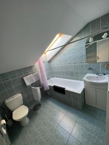 布拉格阿里安酒店的浴室配有白色卫生间和盥洗盆。