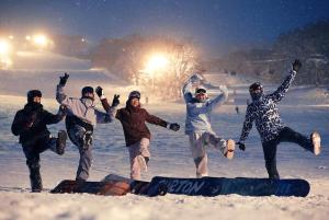 留寿都村太阳公公之家旅馆的一群跳进雪地的人