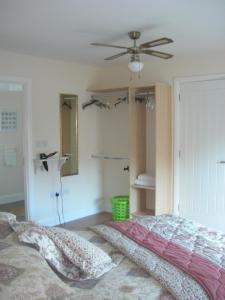 Campsey坦普尔莫伊尔农场度假屋的一间卧室配有一张床和吊扇