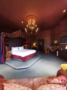 里辛里辛城堡Spa乡村民宿的一间卧室配有一张大床和一个吊灯。