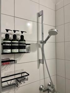萨尔布吕肯Zentrale gemütliche Wohnung的浴室设有淋浴,架子上装有两瓶水