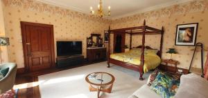 多尔盖罗Cader Suite at PenYcoed Hall incl Luxury Hot Tub的一间卧室设有一张天蓬床和一台电视机。