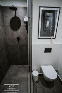 开普敦The Carrington Top Floor Luxury Apartment的带淋浴和卫生间的浴室。