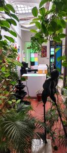 卡利Casa Blanca San Antonio Hostal Boutique的一间满是植物和猫像的房间