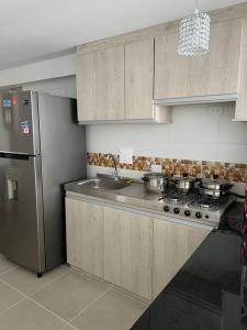 内瓦Apartamento completo 3 habitaciones的厨房配有炉灶和不锈钢冰箱。