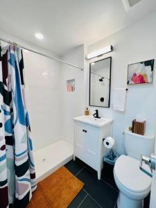 奥克兰Brand New Luxury Fully Furnished Studio Suite的一间带卫生间、水槽和镜子的浴室