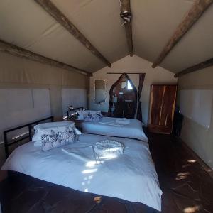 库斯Torgos Lodge的卧室配有一张带白色床单和枕头的大床。