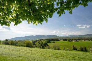 Neukirchen am TeisenbergMonteurzimmer am Teisenberg的一片绿草丛,山地背景