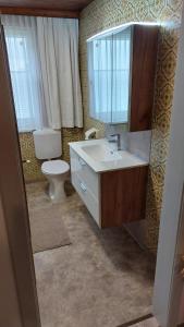 利恩茨Gaßmayr的一间带水槽、卫生间和镜子的浴室