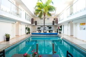 塞拉亚Hotel St. George的一座棕榈树游泳池