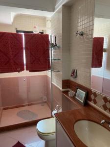 维多利亚APARTAMENTO SOL E MAR VITÓRIA的带淋浴、卫生间和盥洗盆的浴室