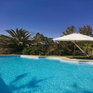 梅利皮亚Casa Foresta Melipillán - Melipilla的一个带遮阳伞和棕榈树的大型蓝色游泳池
